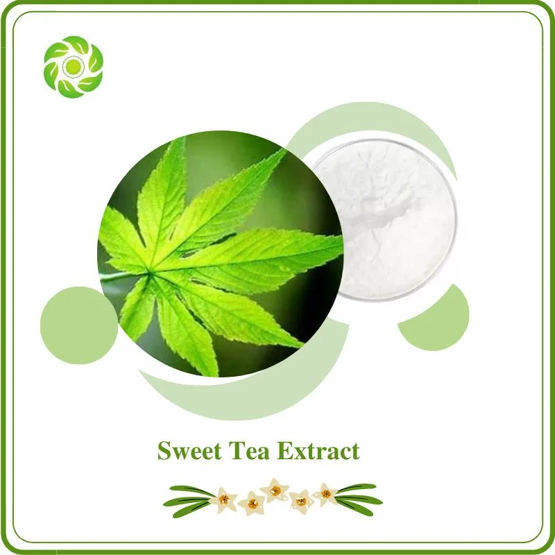 World Well-Being Natural Plant Extract Food Additive Sweetener Sweet Tea Extract Powder 70%-85% Rubusoside Sweet Tea Extract