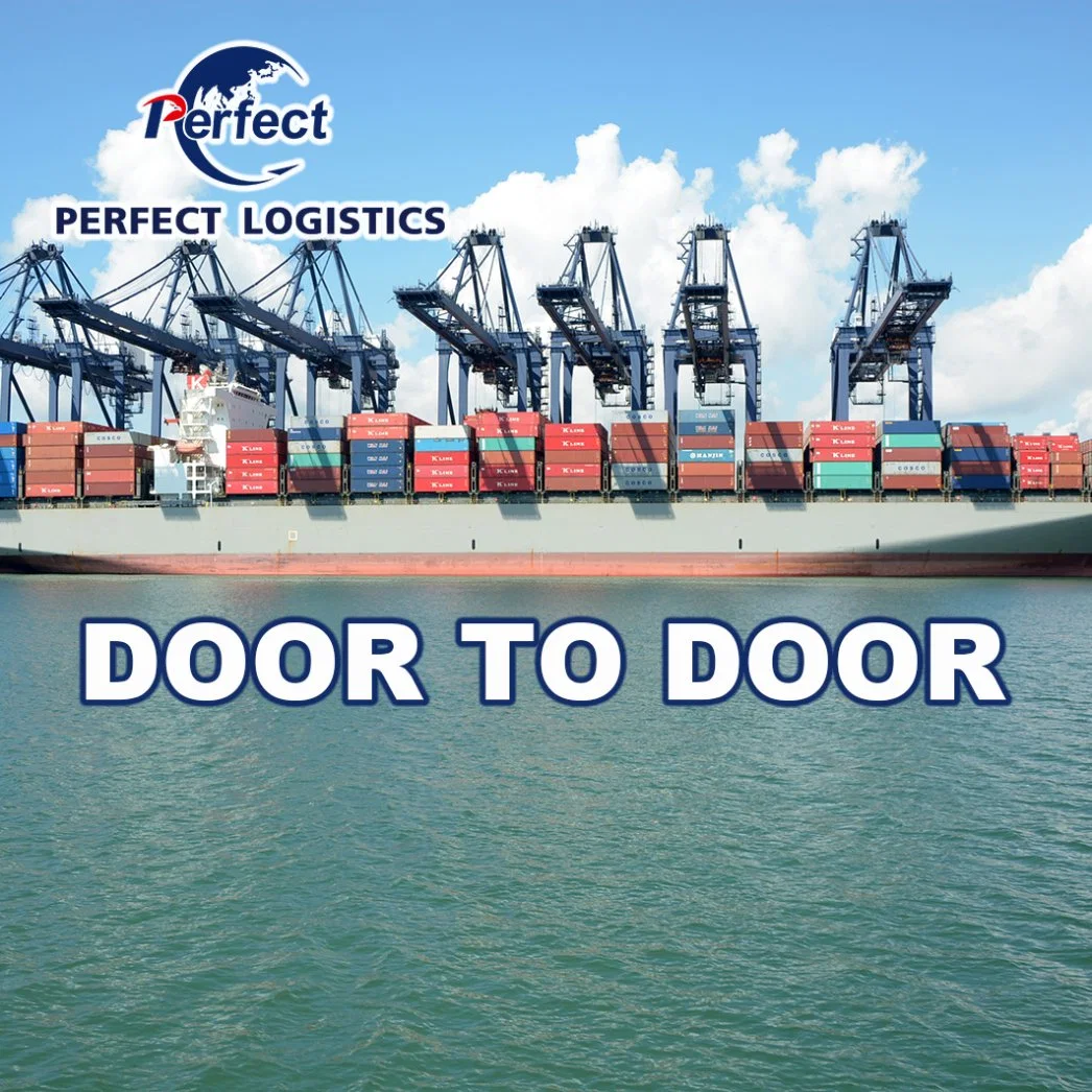 Sea Freight From China to Dubai, United Arab Emirates Freight Shipping Container