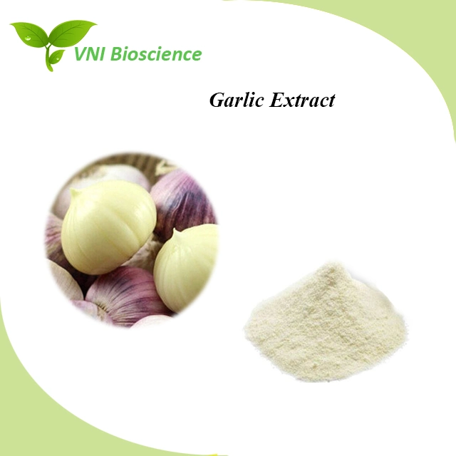 Kosher Halal Certified Pure Natural Allicin Powder Garlic Extract