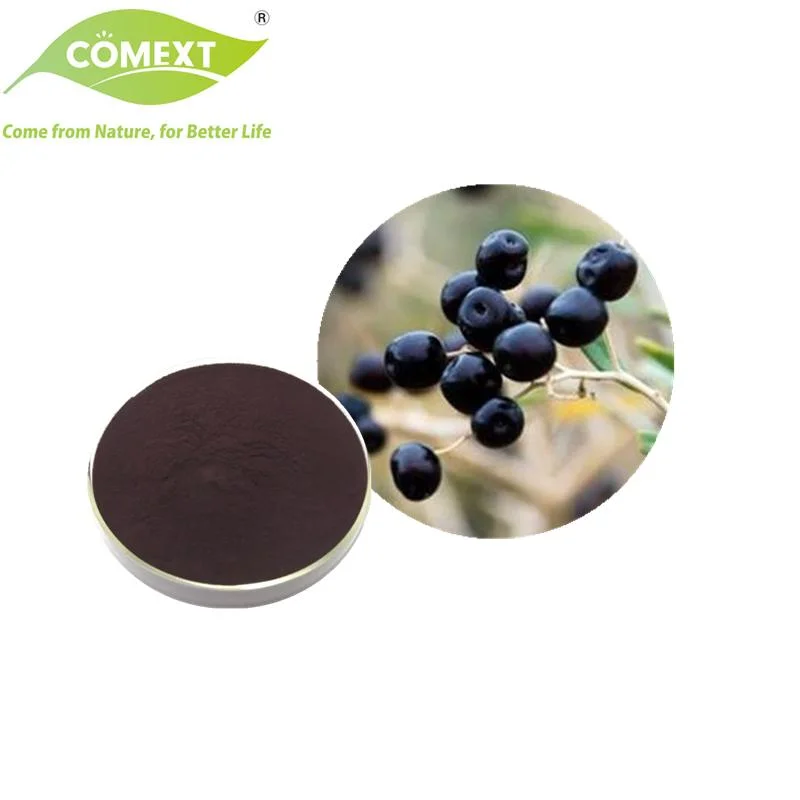 Comext High quality/High cost performance  Lower Blood Pressure Black Goji Berry Powder Extract