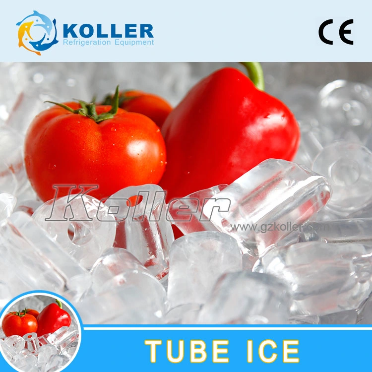 20 Tons Tube Ice Making Machine for Chemical Processing (TV200)