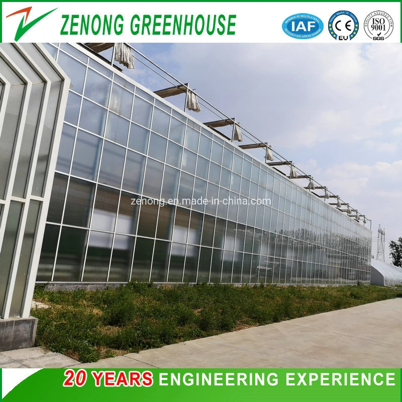 Hot DIP Galvanized Steel Frame Multi Span Glass Greenhouse for Sightseeing Restaurant