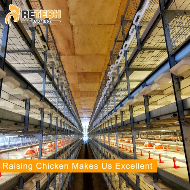 Cheap 3 Tiers New Design Hot DIP Galvanized Material Broiler Breeding Chicken Cage for Poultry Farm House