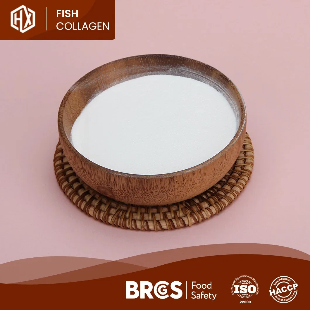 Haoxiang Tilapia escamas colagénio peptídeos granule peptídeo puro nenhum Adicionar Branqueamento de pele Anti-envelhecimento Healthcare produto grau alimentar e Cosmetic Grade Vitamina em pó