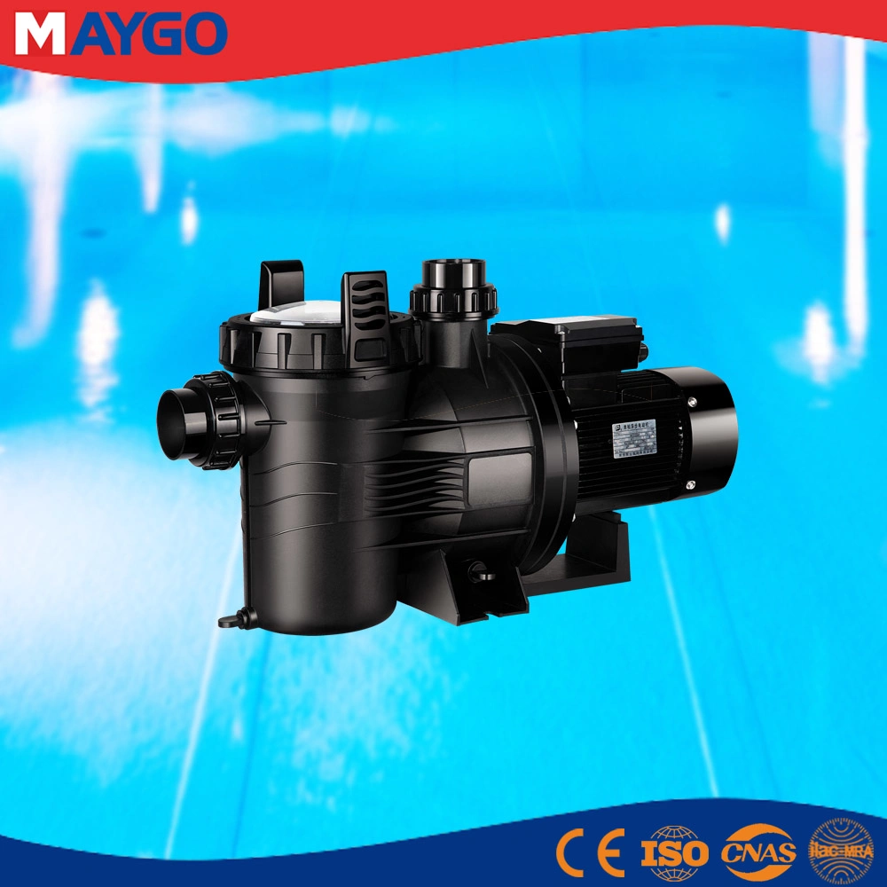 Wholesale/Supplier 0.5HP Single Speed Water Filtration Swimming Pool Pump for in/Above Groud Pool with CE ISO UL