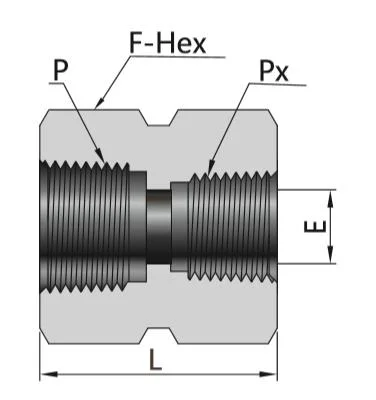 Satinless Steel Pipe Fittings Hex Coupling