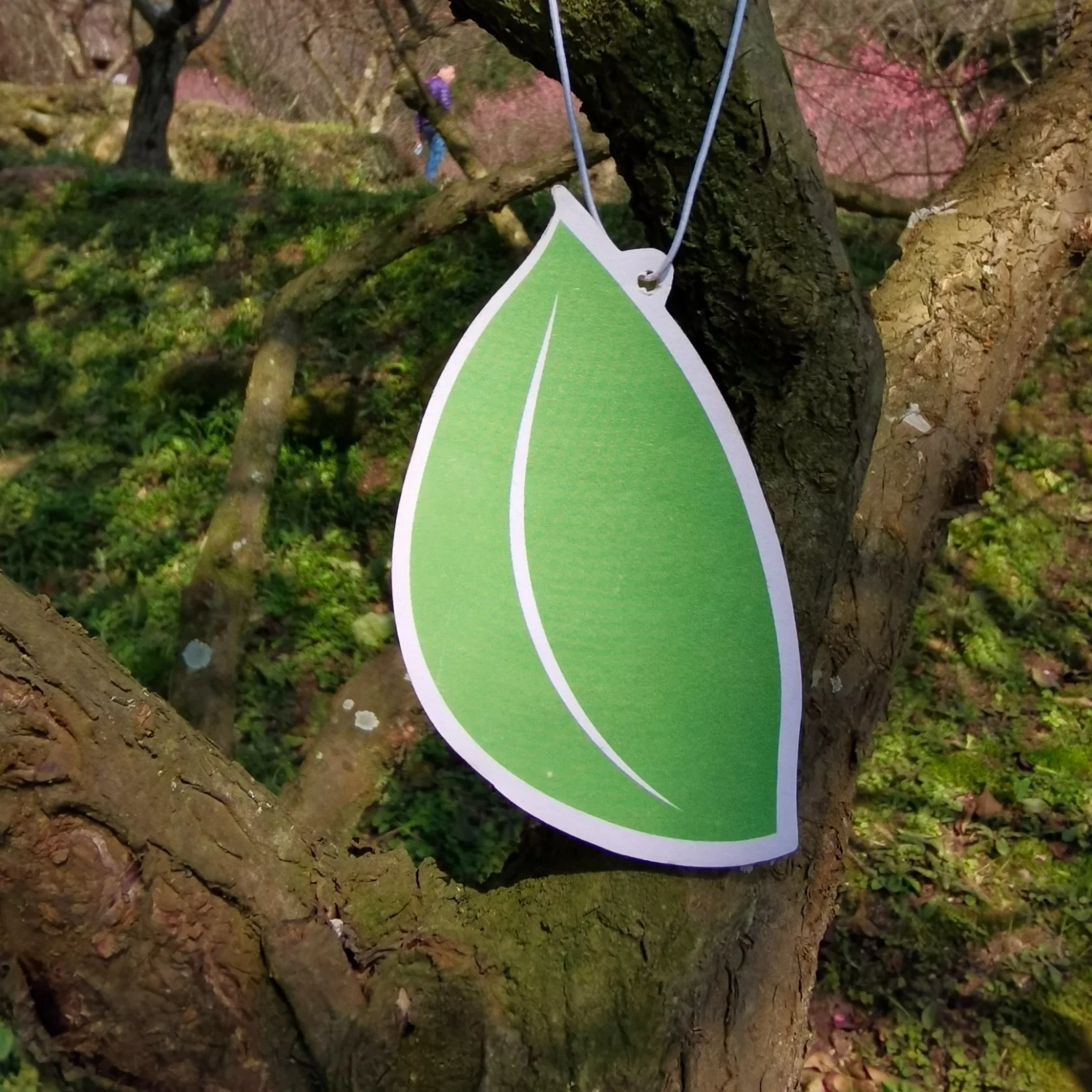 Paper Hanging Car Air Freshener Custom Perfumed Fragrance Leaf Shape Promotional Gifts Long Lasting