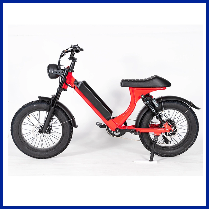 20 Inch Folding Fat Tire Ebike