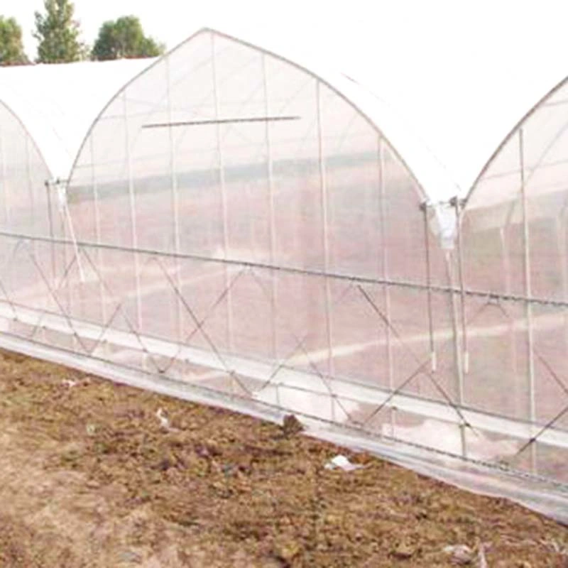 Tunnel Garden Warm Agro Multi Span Greenhouse with Shading System