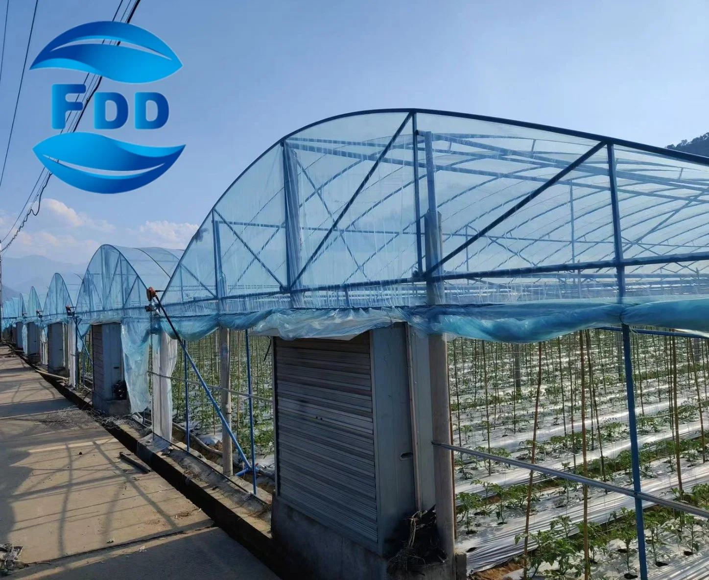 FDD cinco capas Co-Extuued Polietilence Arqueado Greenhouse Film