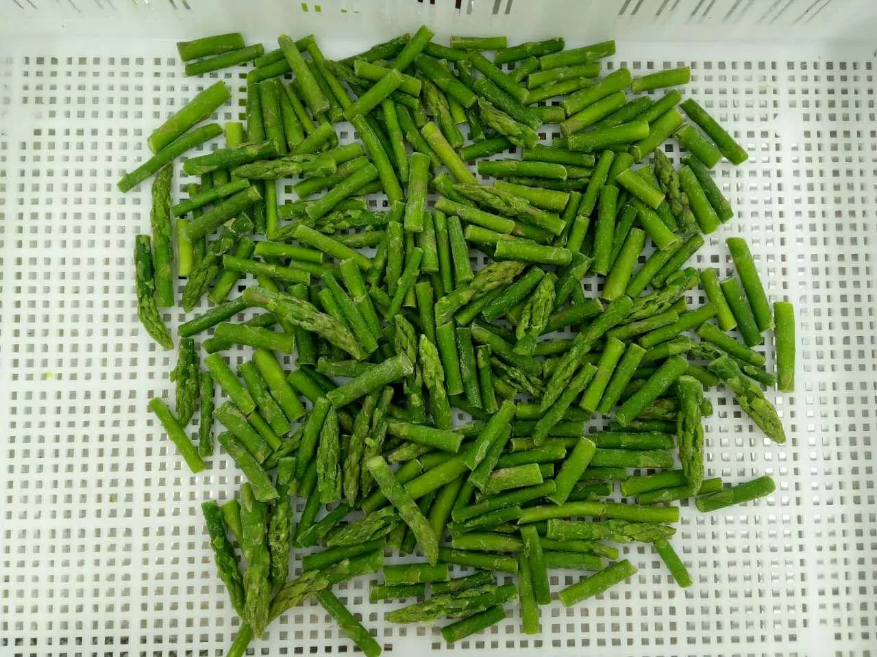 IQF Frozen Green Asparagus Spears Cuts Grade A