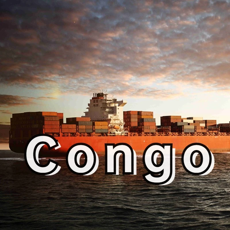 Китай Конго морской Международная Логистика