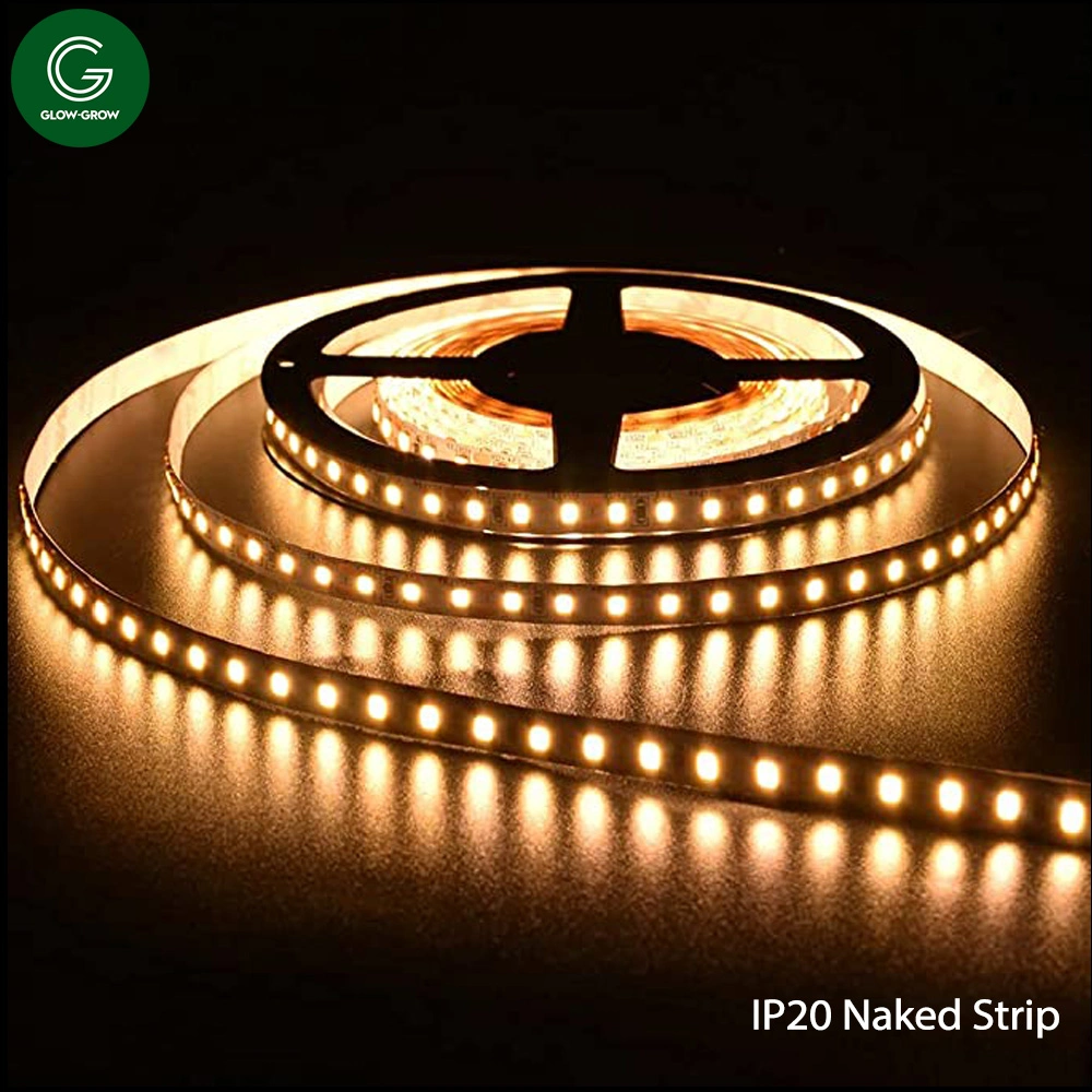 Warm White Factory 6mm Width IP20 2835 120 LEDs/M Naked Strip Light Tape Light for Commercial Places Event Decoration