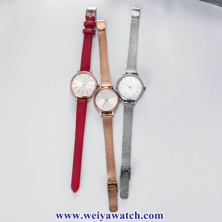 Mesh Alloy Strap Ladies Quartz Wist Watches, Lady Watch (WY-17035C)