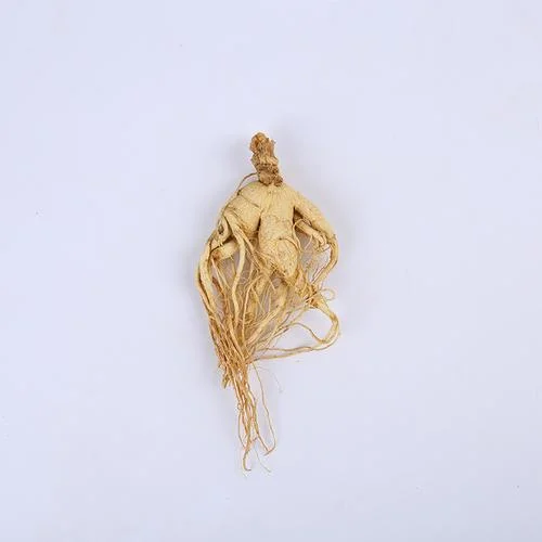 Chang Bai Shan 80% UV Ginsenosides Ginseng Stem Leaf Panax Gingseng Extract