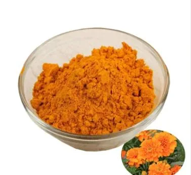 Extracto de Marigold Flower Extracto de luteína polvo de luteína