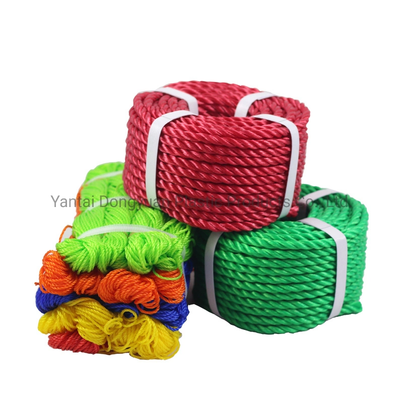 PE Braided and Twisted Fishing Nets Twine and Rope