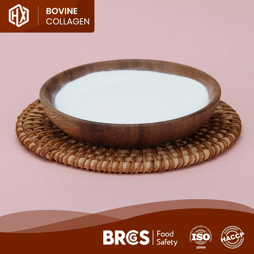 Haoxiang Pincredit Wholesale/Supplier Food Grade Hydrolyzed Bovine Hide Collagen Protein Powder China Suppliers Cheap Price Bovine Hide Hydrolyzed Collagen Peptides