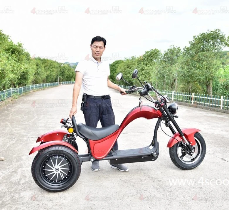 High quality/High cost performance  Adult EEC Electric Tricycles 3 Wheel Dual Motor Engine Scooter Patineta Electrica