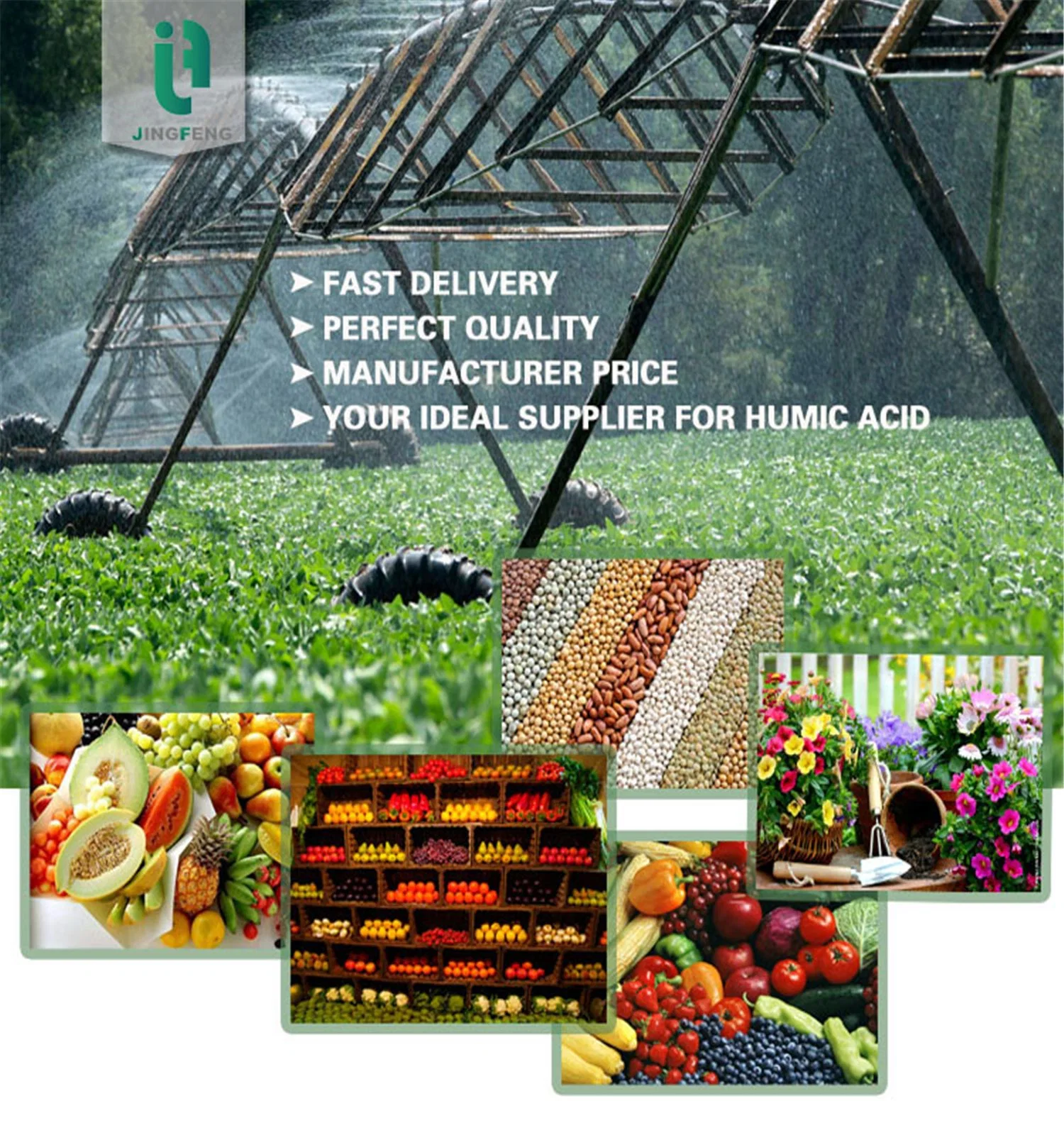 Drip Irrigation Plant 55% Fulvic Acid Humic Acid Flakes