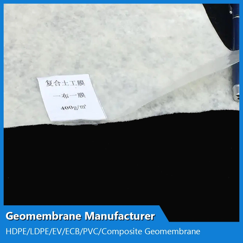 Reinforced Waterproof Geotextile Liner Composite Compound Geomembrane with Nonwoven Geotextile