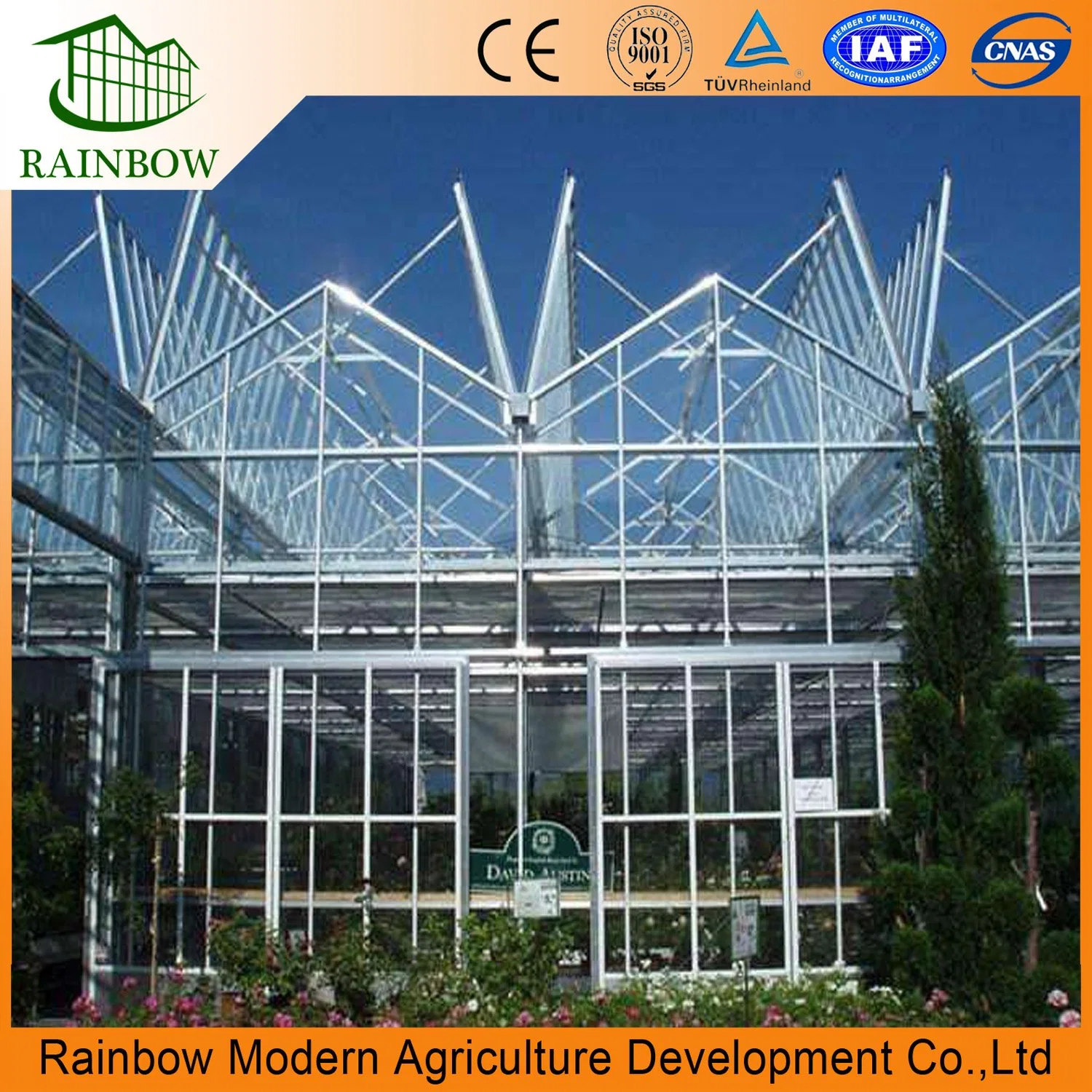 Venlo Hollow Double Tempered Glass Greenhouse with Hydroponics Growing System for Vegetables