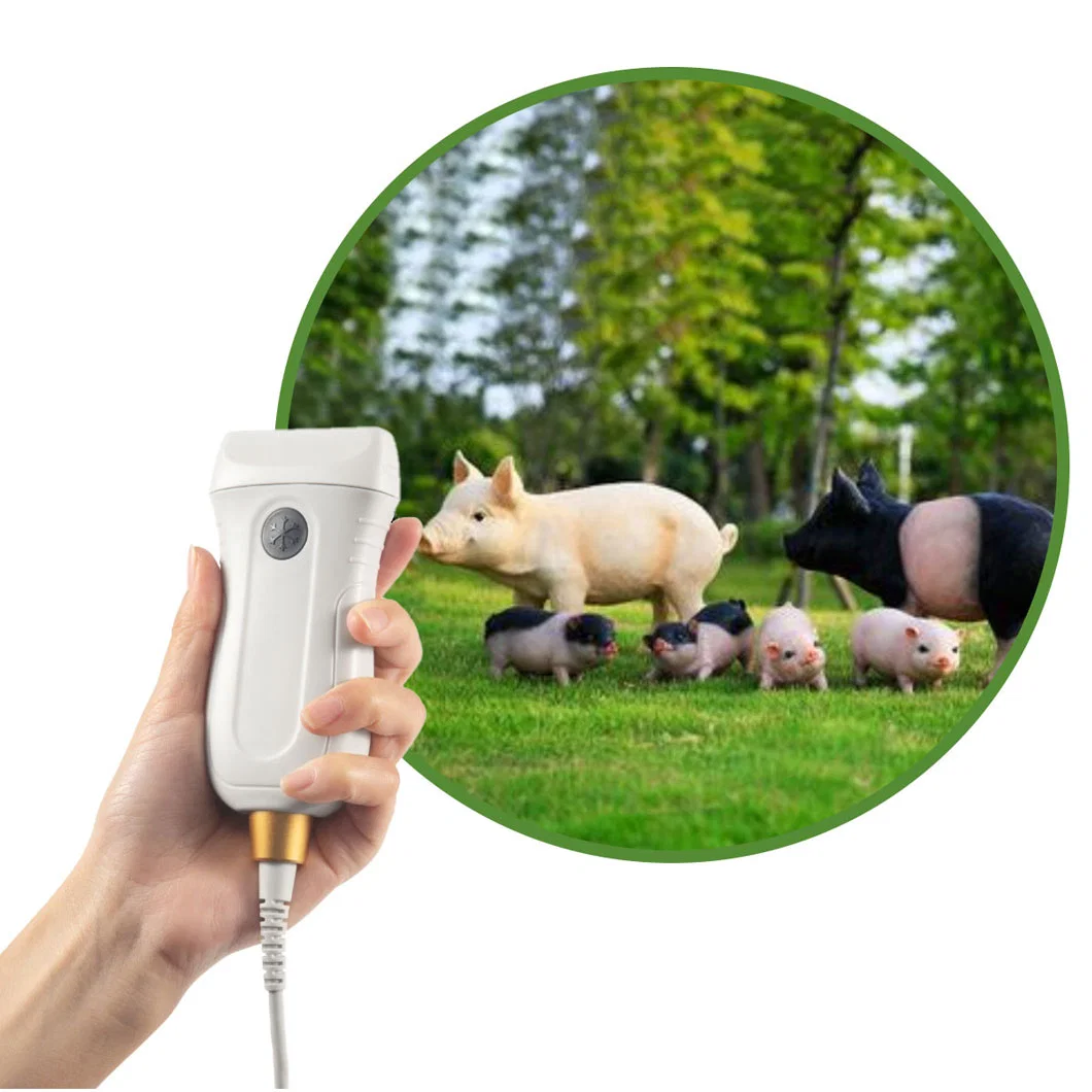 Mx5 B/W Ultra-som portátil para veterinários de animais da máquina de ultra-som