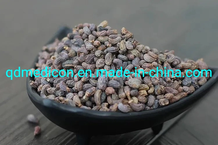 Herb Raw Material Ligustrum Lucidum (fruit) Prepared Traditional Chinese Herbal Medicine Herb Tonify Yin