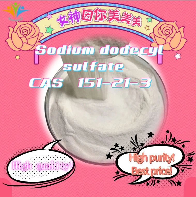 High Quality 99% Sodium Dodecyl Sulfate CAS 151-21-3 Powder International Selling