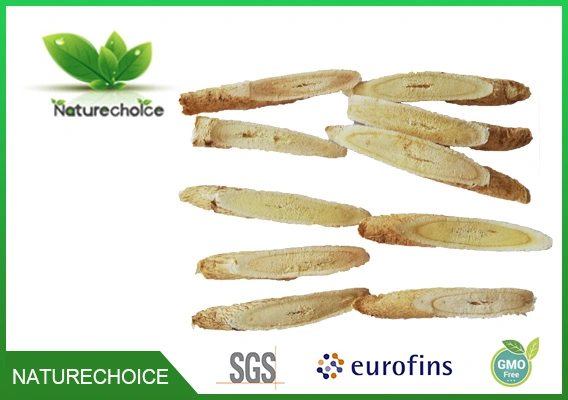 Organic Astragalus Root Slice, Radix Astragali, Astragalus Powder, Astragalus Root Cut