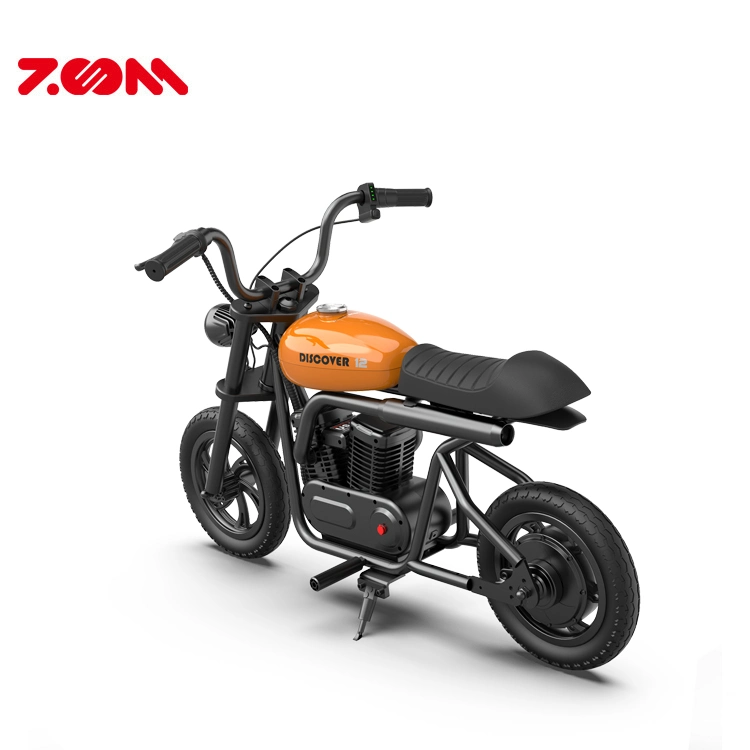 New Design Electric Dirt Bike 24V for Kids Age 7-12