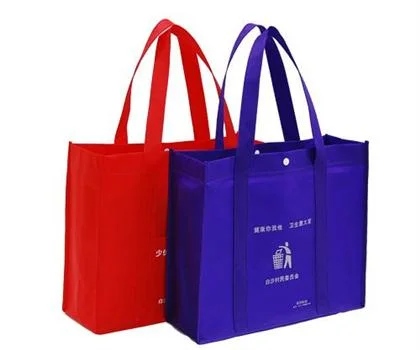 Multi Compartment Promotional Advertising Non Woven Bottle Bag