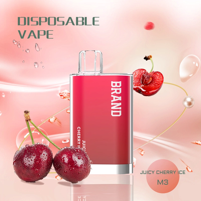 New Disposable/Chargeable E Cig Electronic Cigarette Smoking System 2ml 600 Puff Vaporizer Wholesale/Supplier Disposable/Chargeable Vape