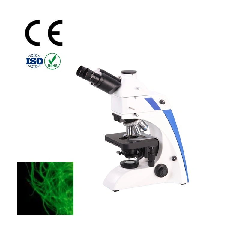 Hilera de trefilado de inspeccionar microscopio binocular Microscopio de fluorescencia de imágenes para microscopios de fibra