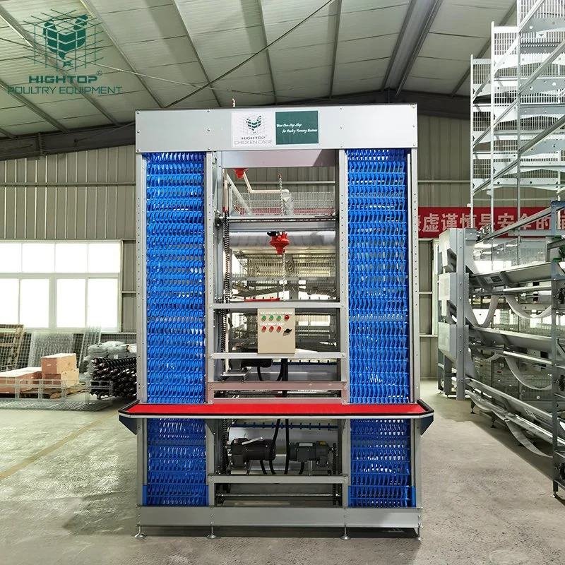 H Frame Automatic 4 Layer Broiler Chicken Cage System Sales with Conveyor Belt in Pakistan Bangladesh