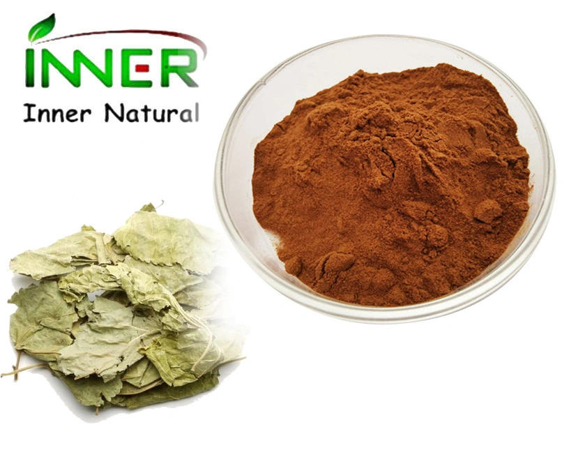 1% 5% 15% Dnj White Mulberry Bark Extract Morus Alba Extract, Cortex Mori Extract