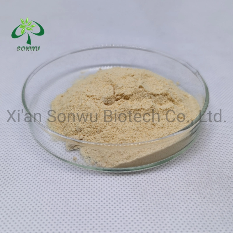 Sonwu Supply Plant Extract Powder Gingerol