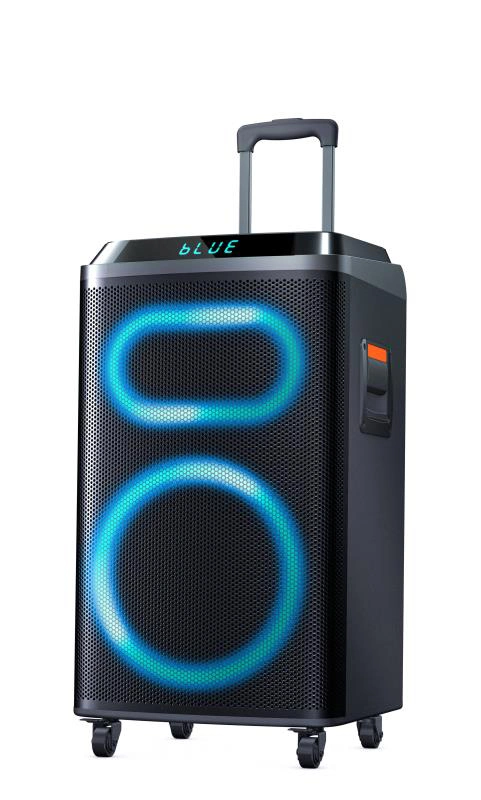 The New Speaker China Factory Professional Model Party Speaker for Bluetooth Audio Speaker