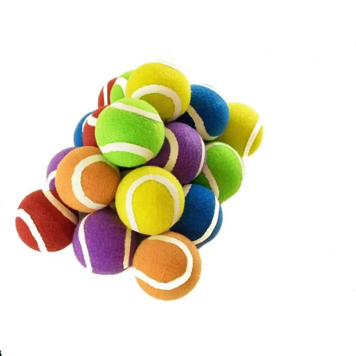 Tennis Balls for Dogs Funny Squeaky Dog Toys Chew Toys for Exercise and Training