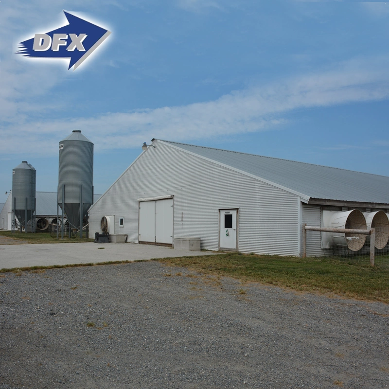 Chicken Use Steel Structure Material Warehouse Building in Poultry Farm