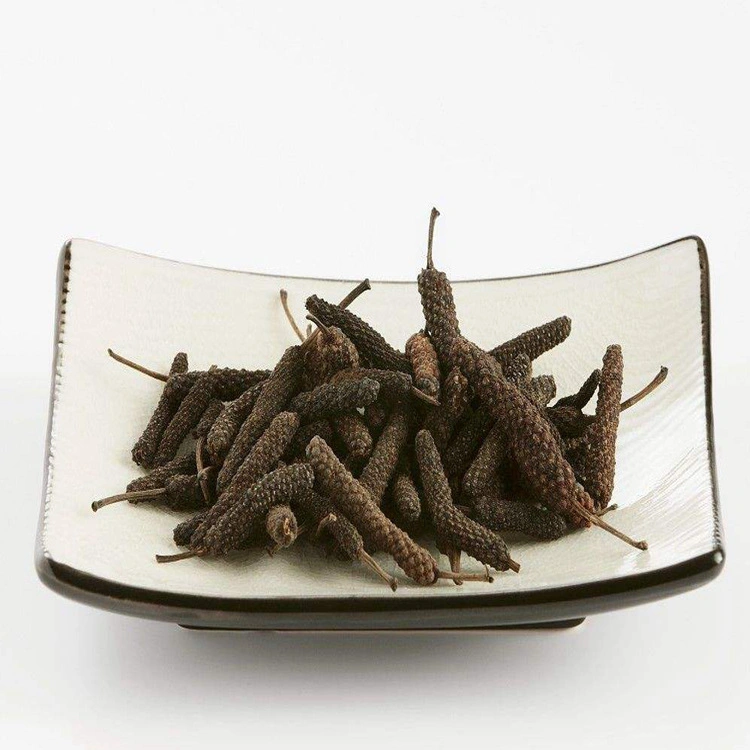 Dried Long Pepper Spice Bi Ba Premium Piper Longum for Food