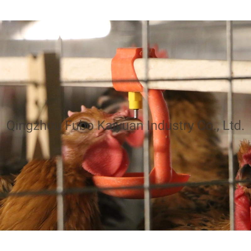 Full Set Automatic Feeding Technical Quality Meat Chicken Poultry System