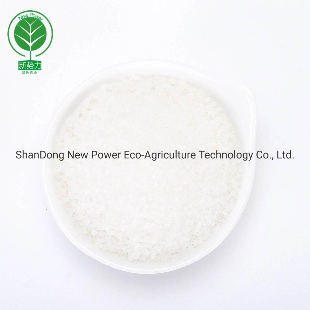 Ammonium Sulphate 21%N Crystal Bulk as Nitrogen Fertilizer