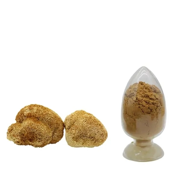 Lion's Mane Extract Lions Mane Mushroom Powder Hericium Erinaceus Extract