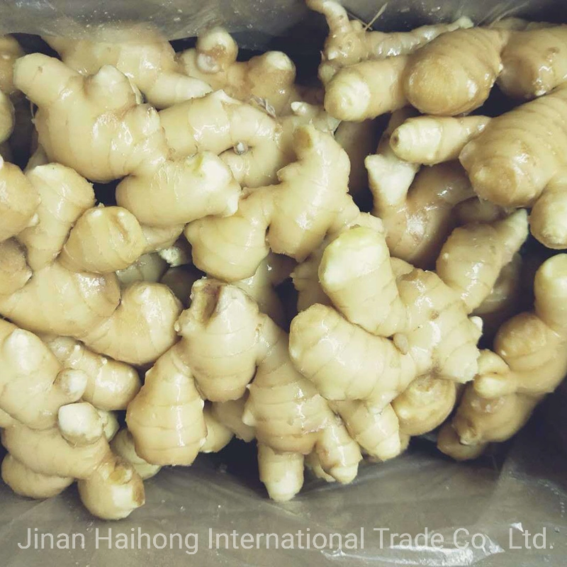 Chinese Fresh Air-Dry Ginger (200G+, 250G+)