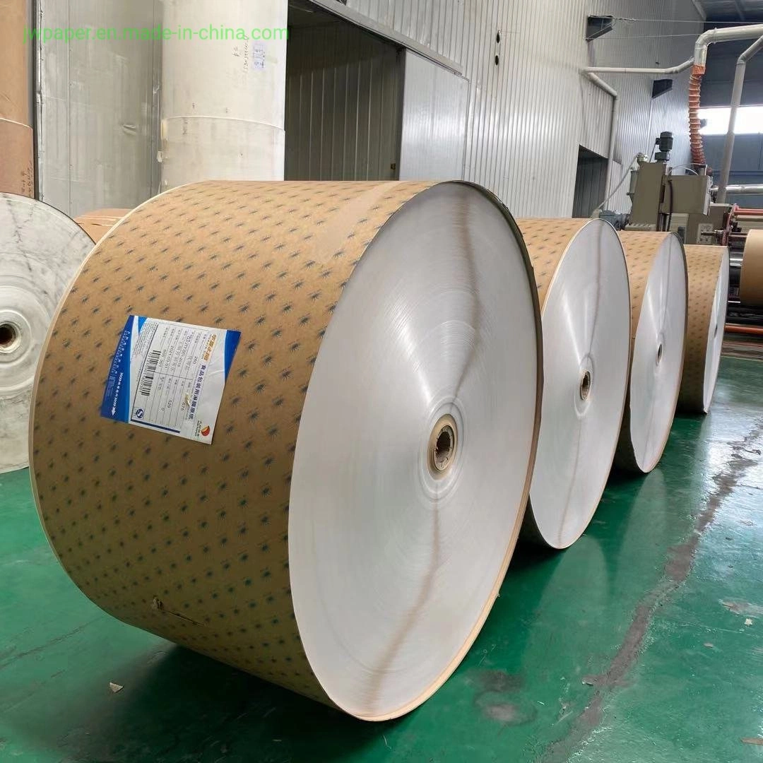 High quality/High cost performance Disposable Single or Double Side PE Coated Paper Roll