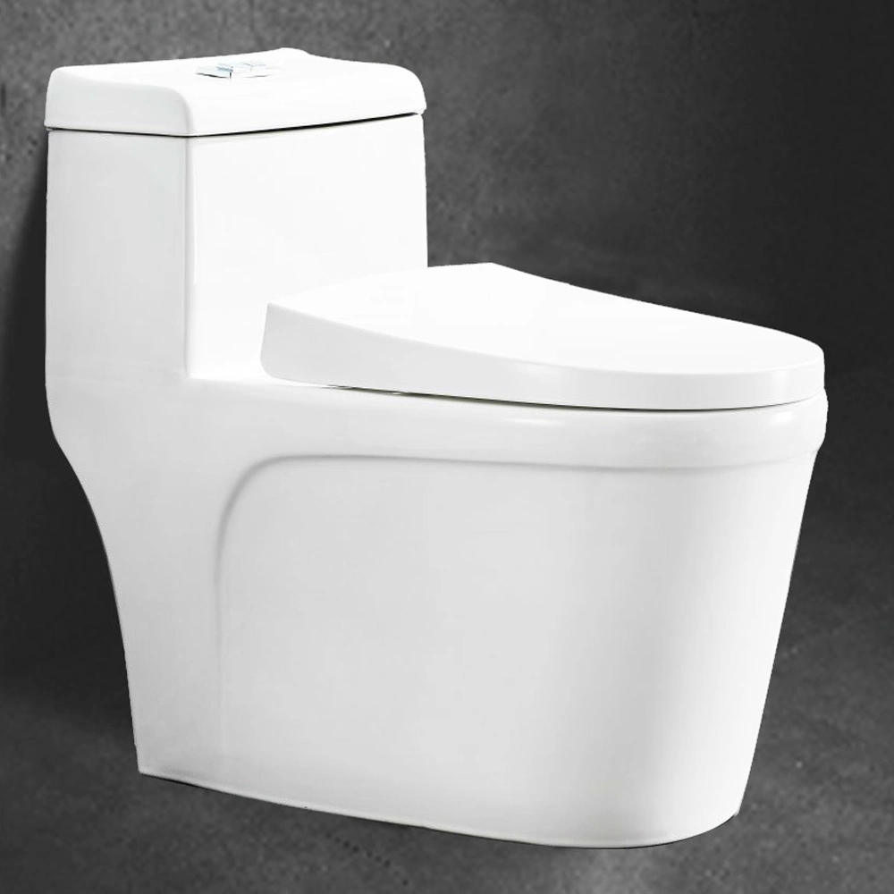 American Modern Dual Flush Ceramic Toilet Sets Bathroom