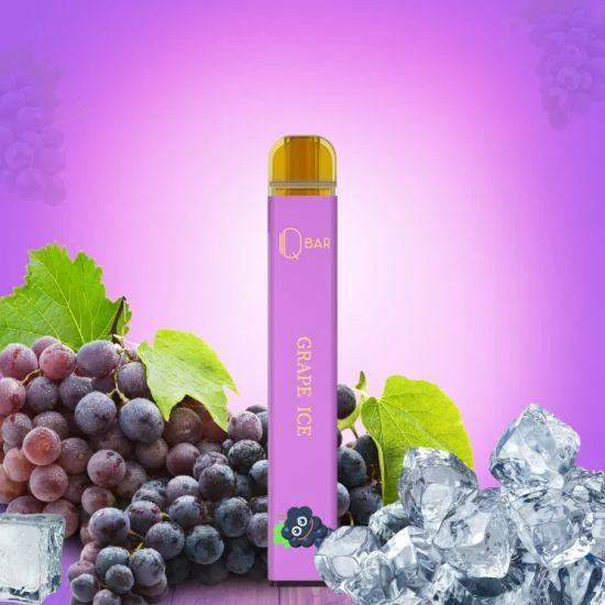 Wholesale/Supplier Fumot Randm E Cig Pen Supbliss Qbar 600 Puffs Disposable/Chargeable Vape