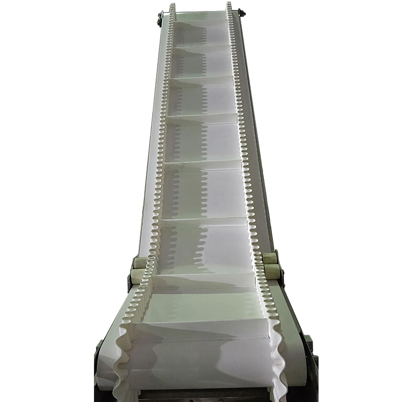 High Precision Flexible Chain Conveyor Machine Used in Different Industries