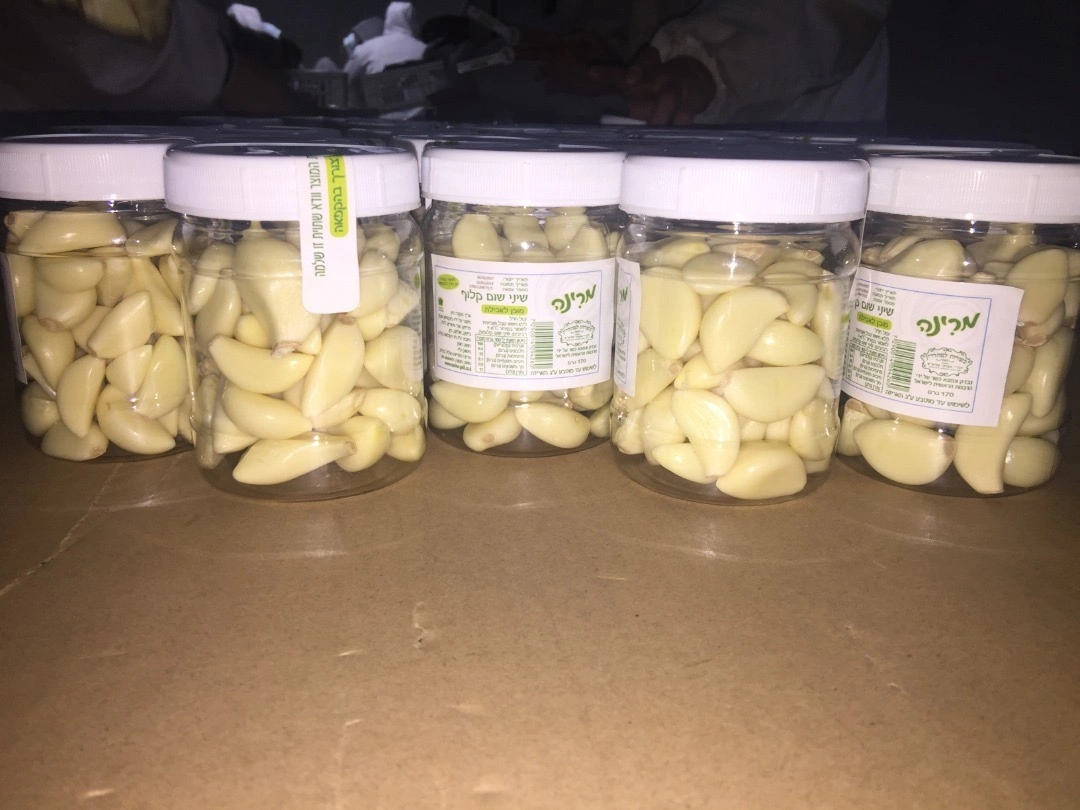 Chinese High quality/High cost performance  Fresh Peeled Garlic